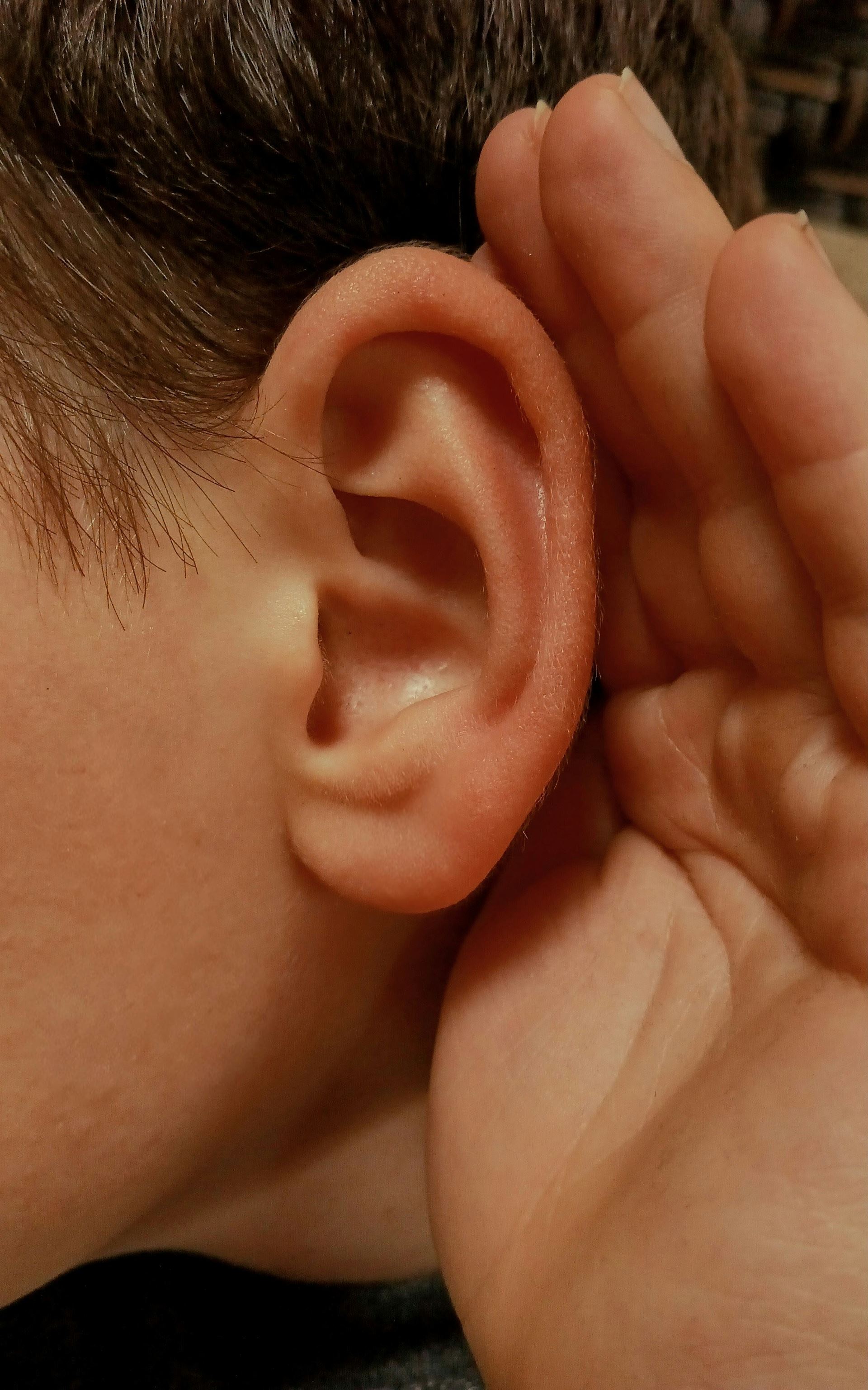 ear